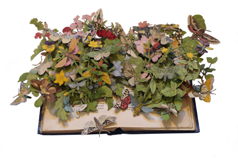 book sculptures by Kerry Miller: British Moths