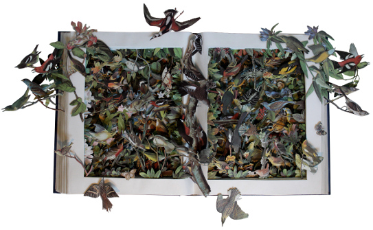 book sculptures by Kerry Miller: The Birds of America
