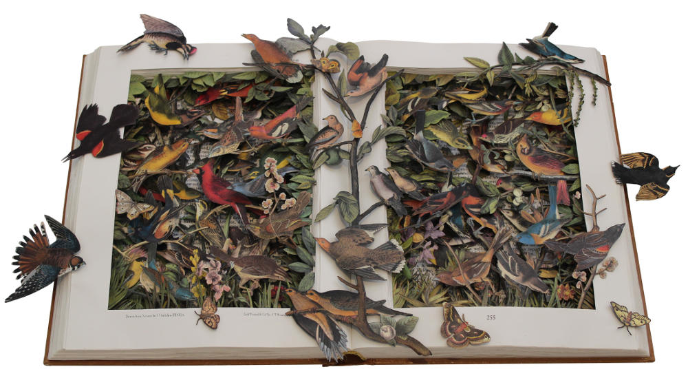 book sculpture by Kerry Miller: Audubon's Birds of North America