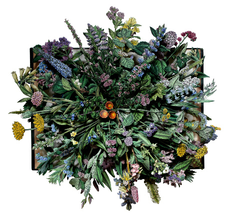 book sculptures by Kerry Miller: Wild Flowers of Great Britain - vol X