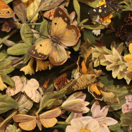 book sculptures by Kerry Miller: European Butterflies & Moths/ Familar Swiss Flowers