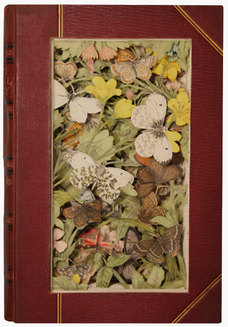 carved 3D book by Kerry Miller: A Hand-Book to the Order Lepidoptera, vol 5