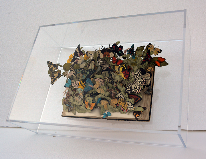 carved 3D book by Kerry Miller: A Hand-Book to the Order Lepidoptera