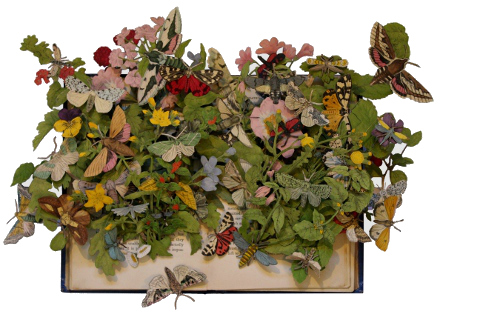 book sculptures by Kerry Miller: British Moths
