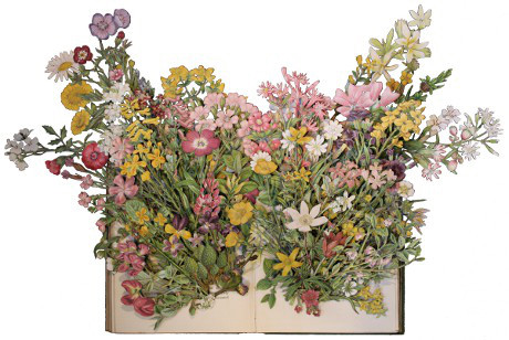 book sculptures by Kerry Miller: Flowering Plants of Great Britain - vol 1