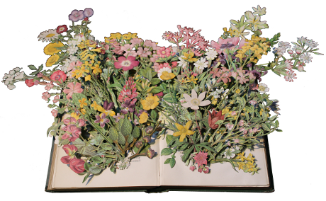 book sculptures by Kerry Miller: Flowering Plants of Great Britain - vol 1