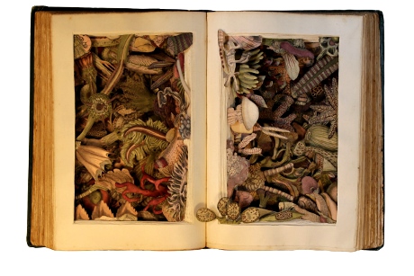 carved 3-D book by Kerry Miller: Text-Book of Zoology